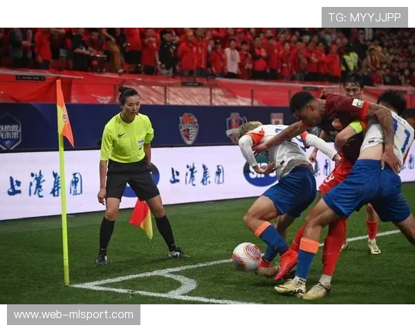 职业联赛的裁判工作挑战